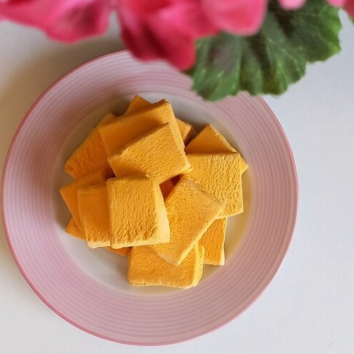 فروش فله بستنی خشک انبه ای + قیمت مناسب